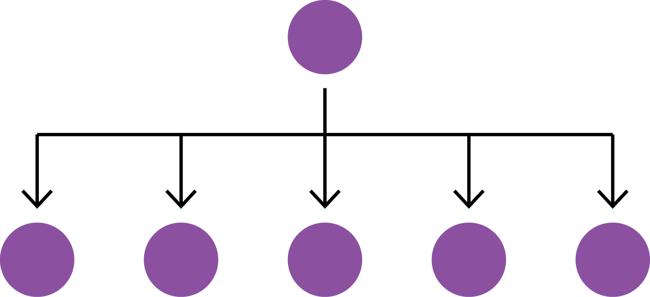 Monolithic Brand Architecture Model